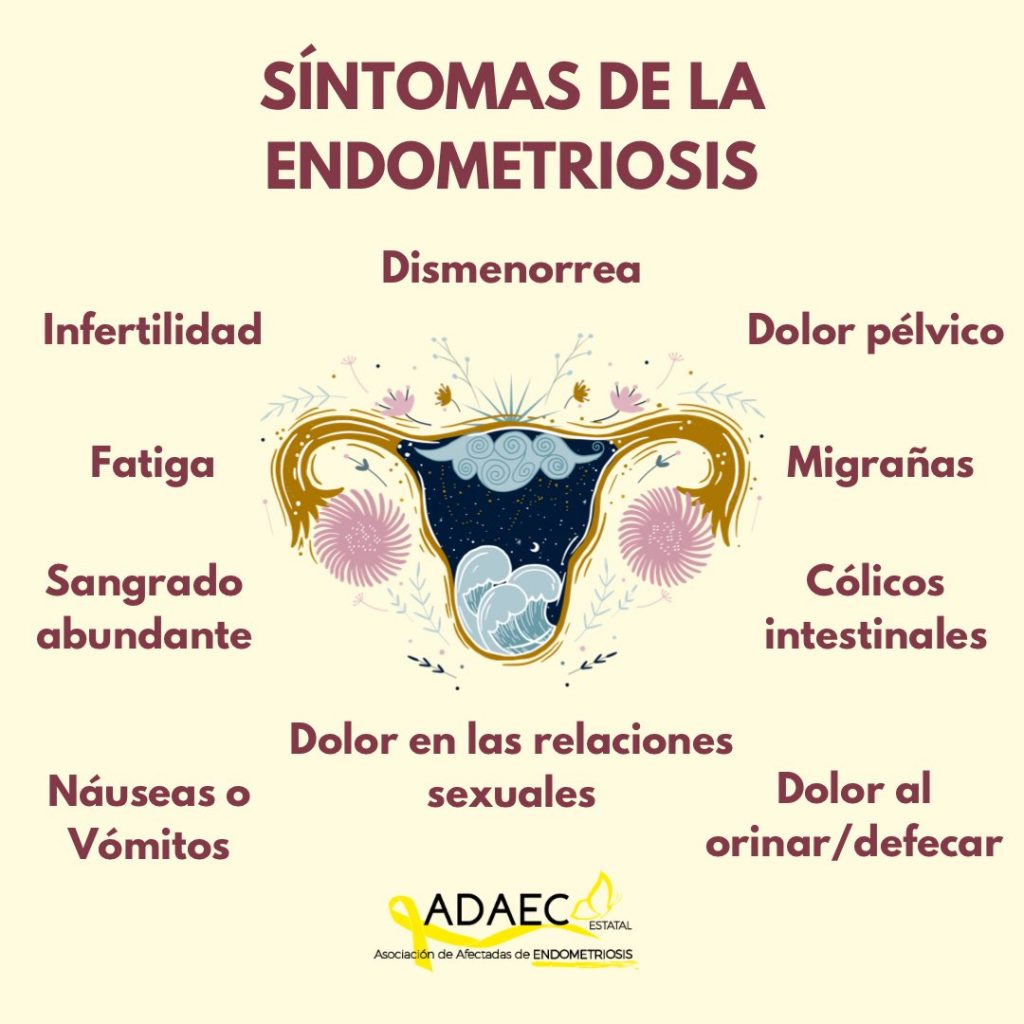 Empecemos por el principio, qué es la endometriosis y cómo es su diagnóstico. ¿Qué se puede hacer para tratarla?