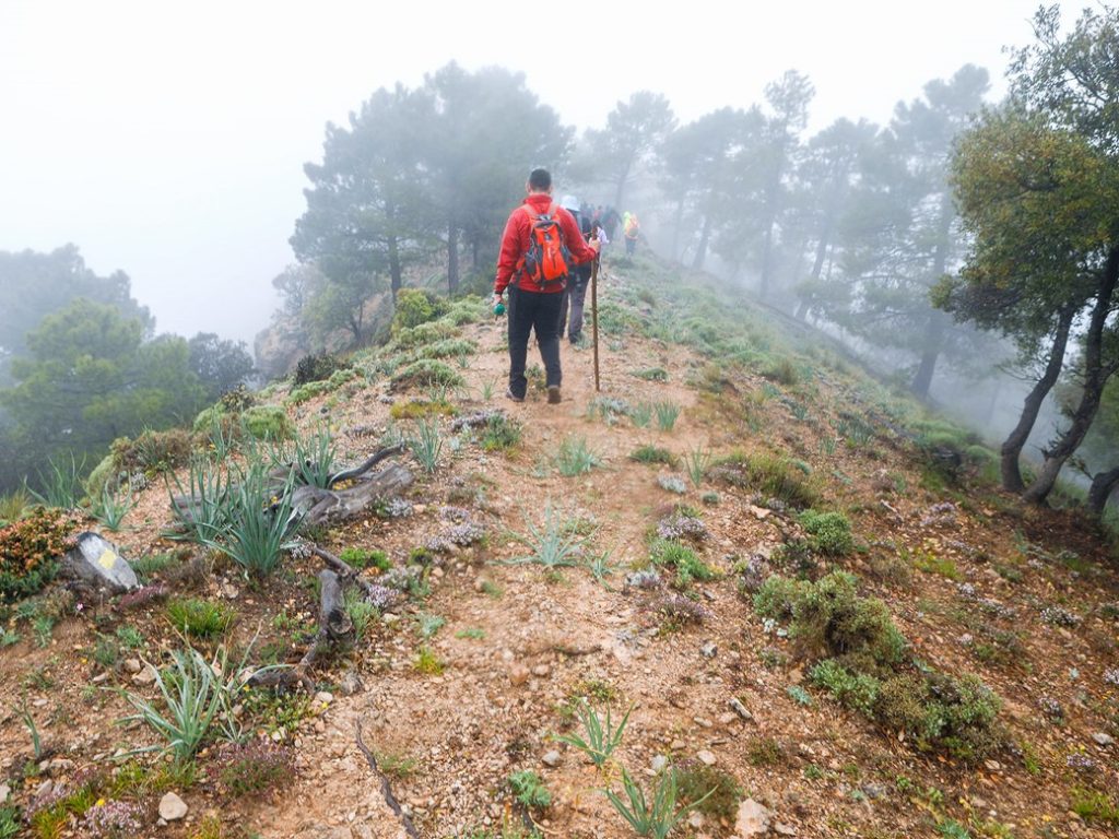 Los senderistas han descubierto Bienservida, en la Sierra de Alcaraz y Campo de Montiel gracias a la ruta 'La Ventana de Bienservida'.