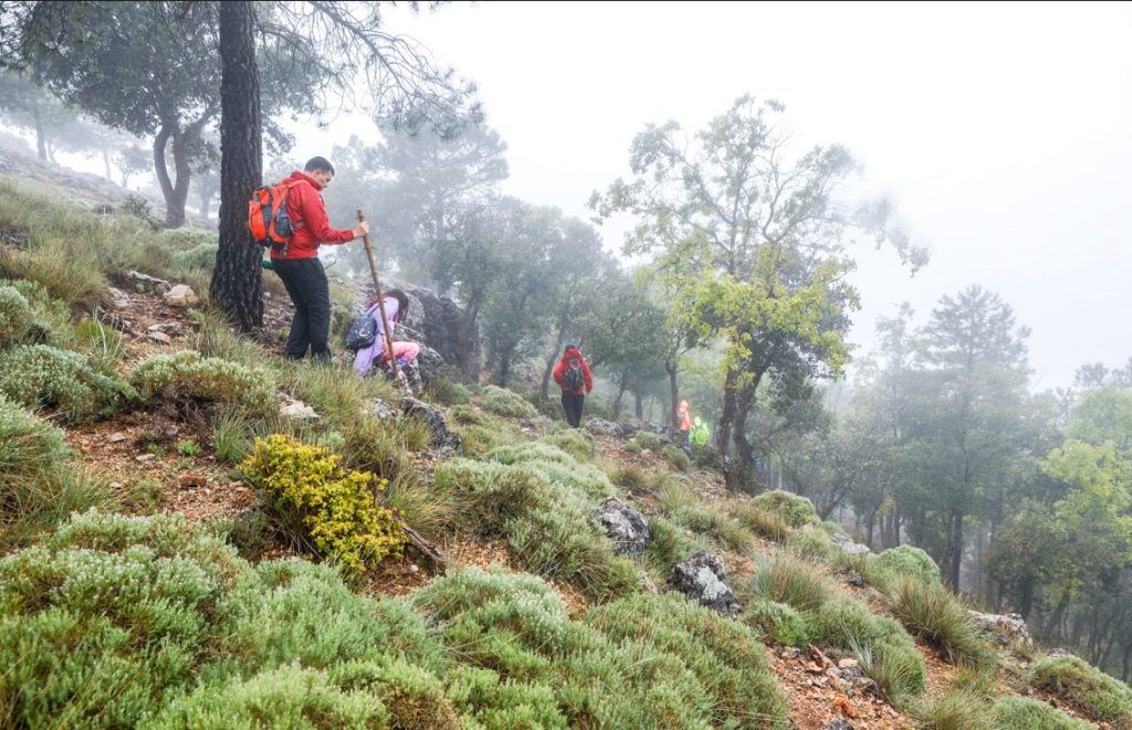 Los senderistas han descubierto Bienservida, en la Sierra de Alcaraz y Campo de Montiel gracias a la ruta 'La Ventana de Bienservida'.